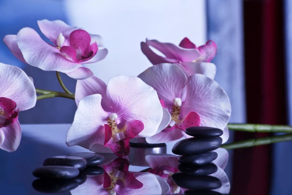 Solution-Based Facials